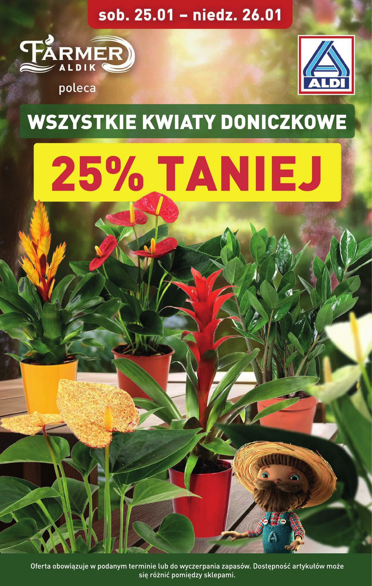 Gazetka Aldi 23.01.2025 - 26.01.2025