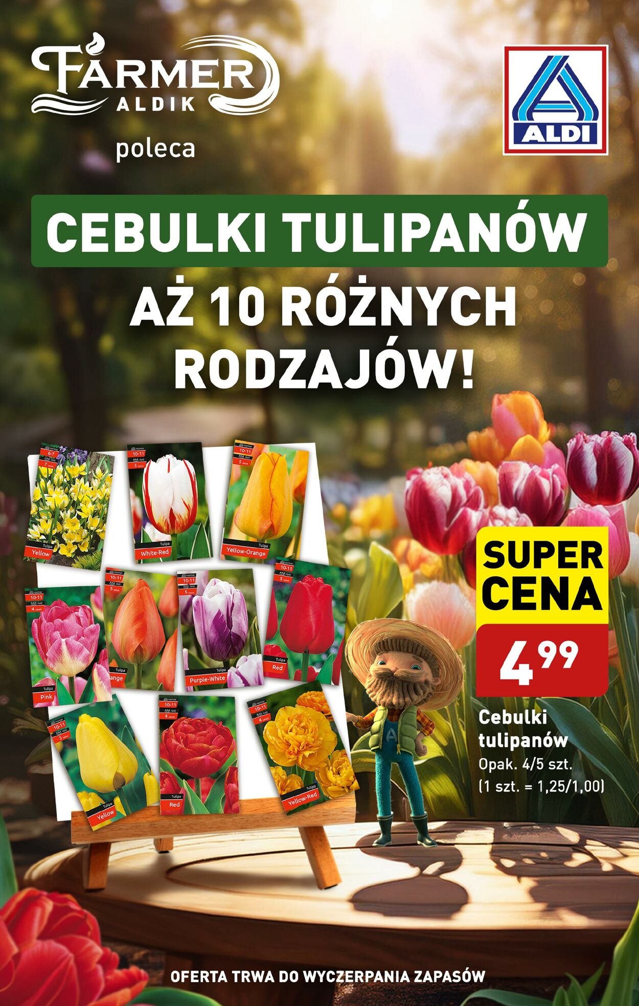 Gazetka Aldi 16.09.2024 - 21.09.2024