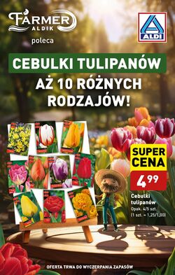 Gazetka Aldi 16.09.2024 - 21.09.2024