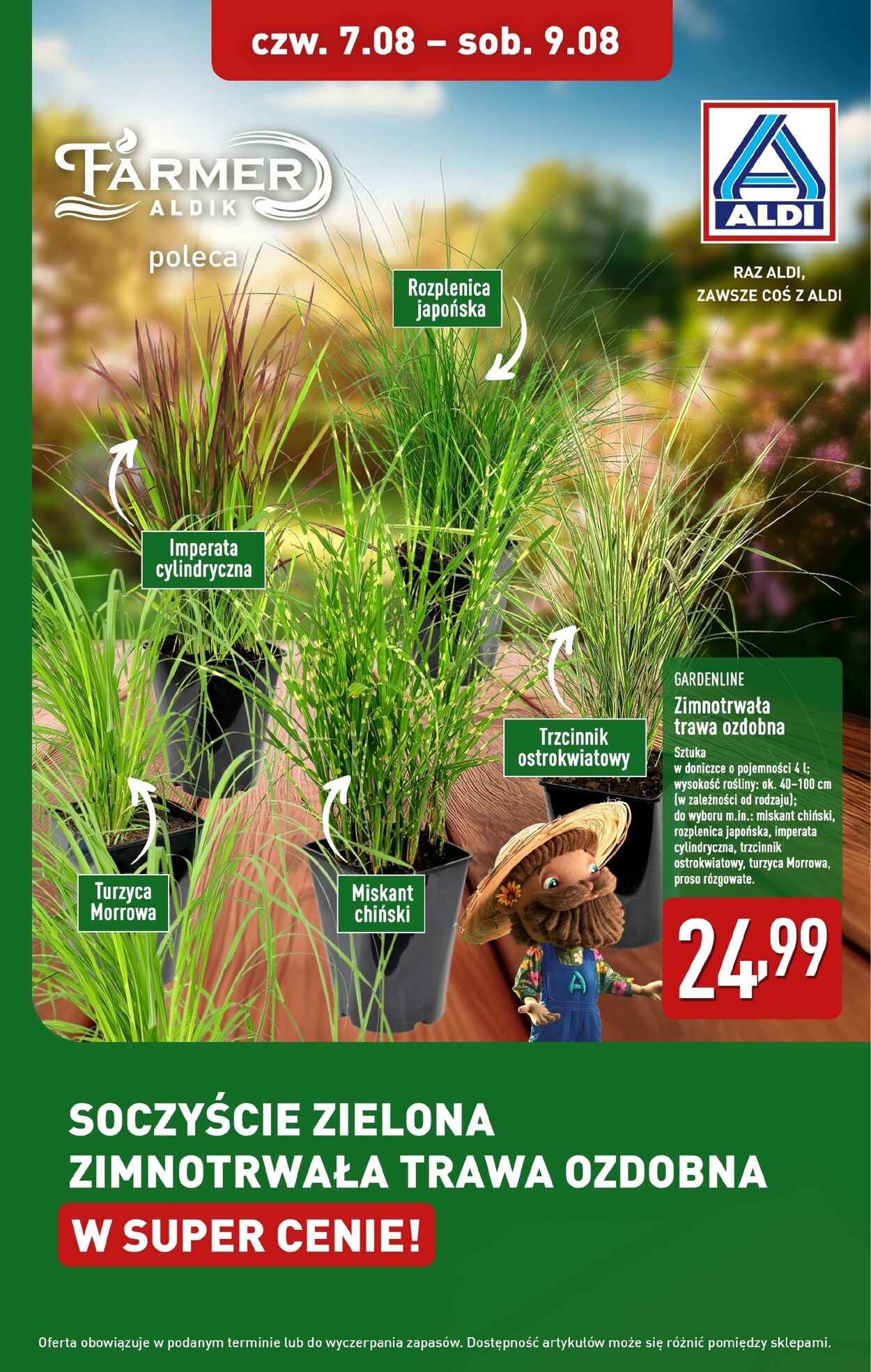 Gazetka Aldi - Aldi 7 sie, 2025 - 9 sie, 2025