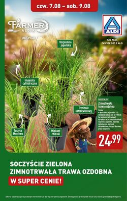 Gazetka Aldi 07.08.2025 - 09.08.2025