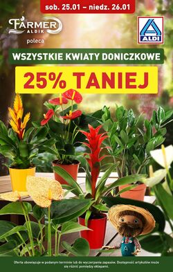 Gazetka Aldi 25.01.2025 - 26.01.2025