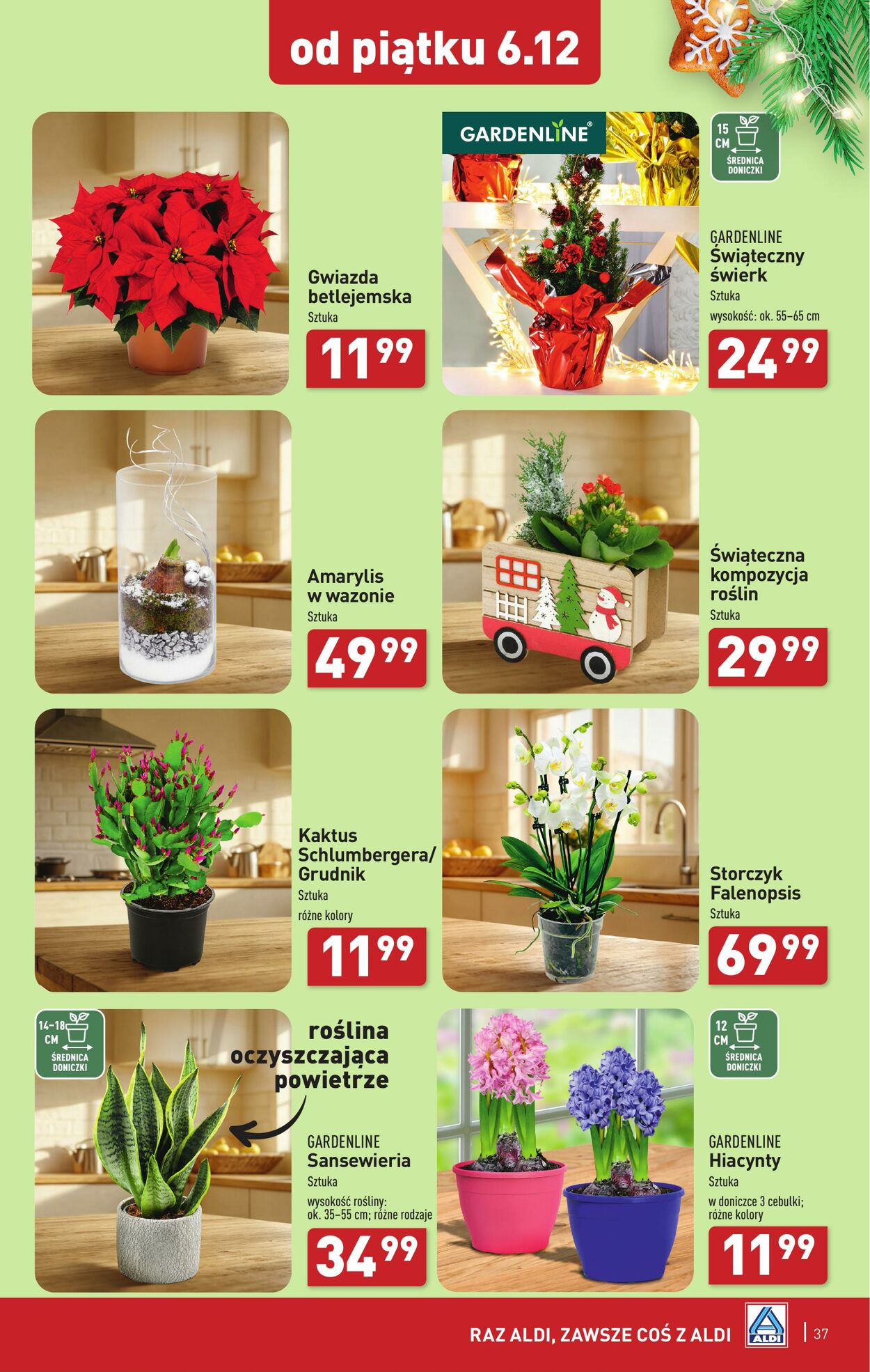 Gazetka Aldi 02.12.2024 - 07.12.2024