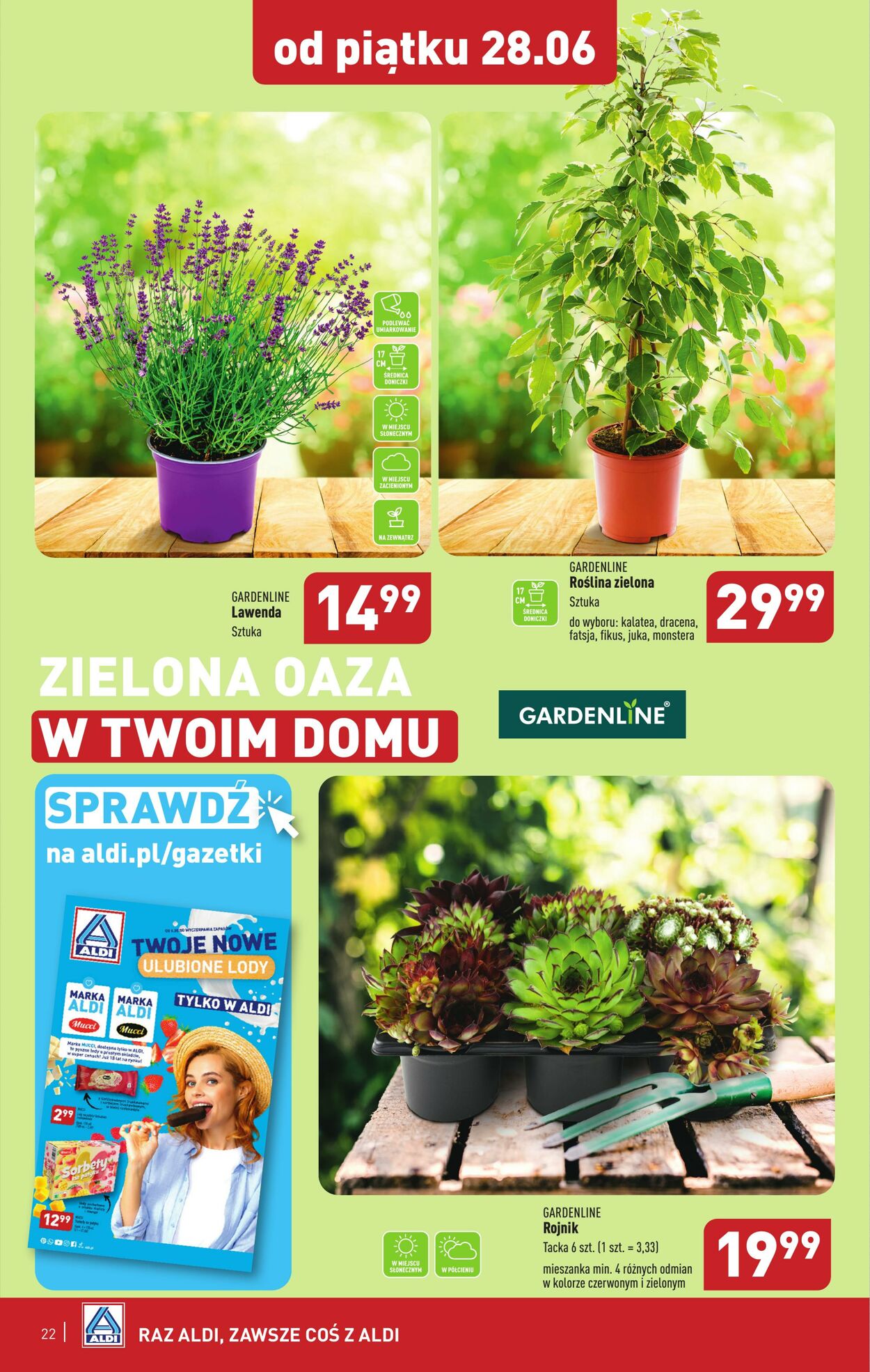 Gazetka Aldi 24.06.2024 - 30.06.2024