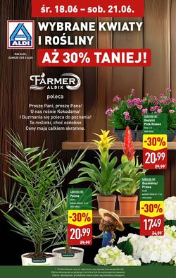 Gazetka Aldi 18.06.2025 - 21.06.2025