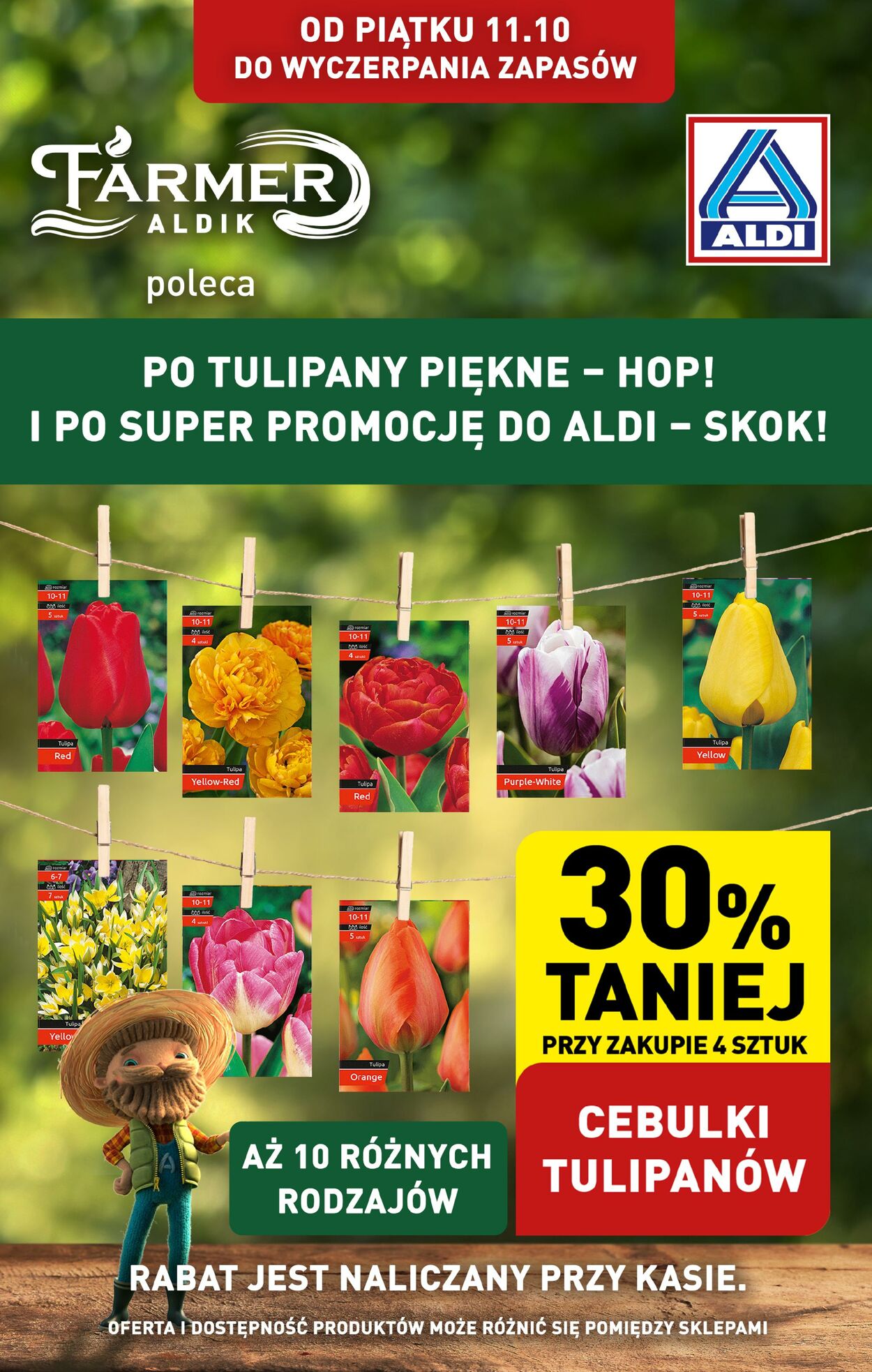 Gazetka Aldi 11.10.2024 - 12.10.2024