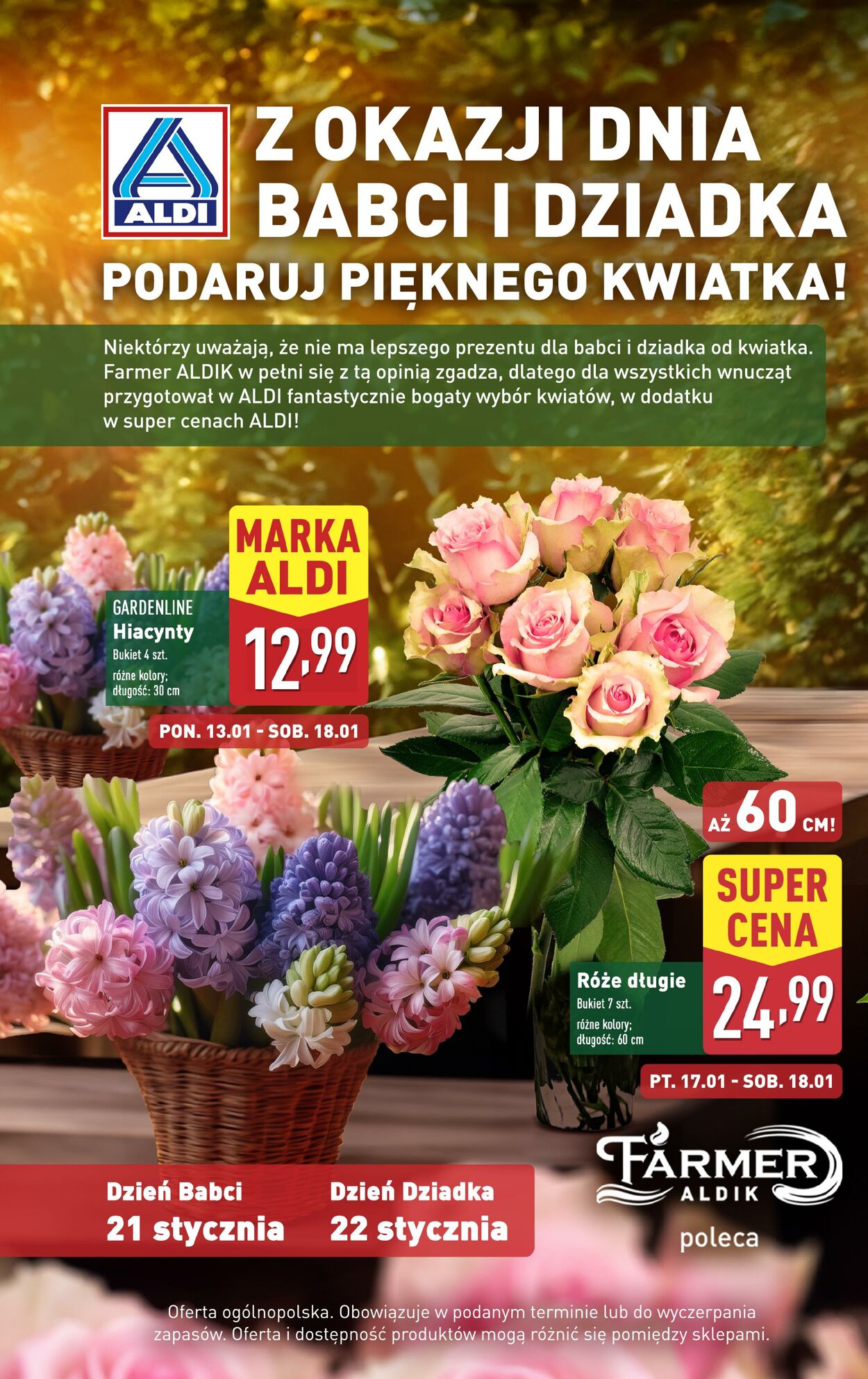 Gazetka Aldi 13.01.2025 - 18.01.2025