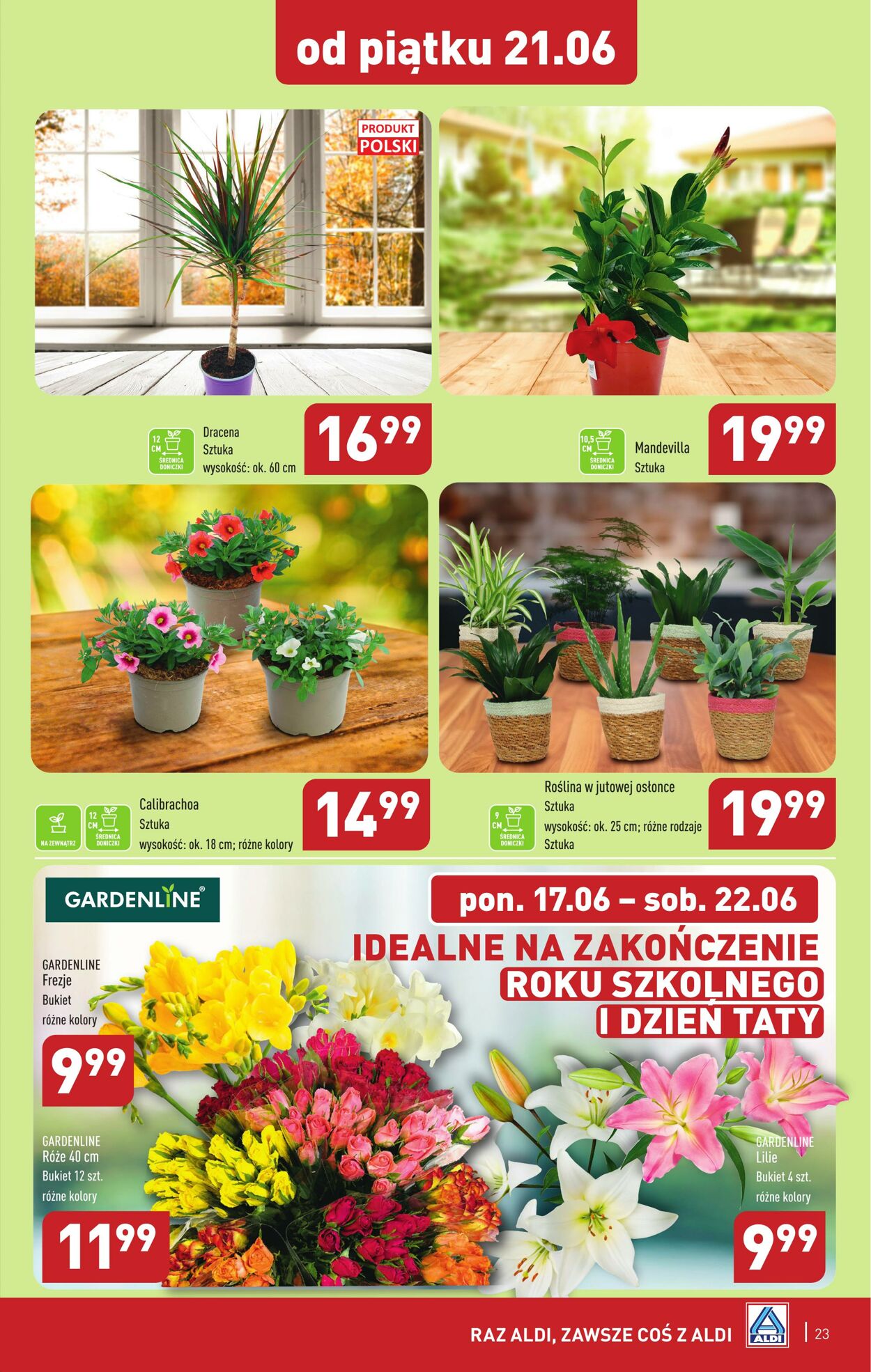 Gazetka Aldi 17.06.2024 - 22.06.2024