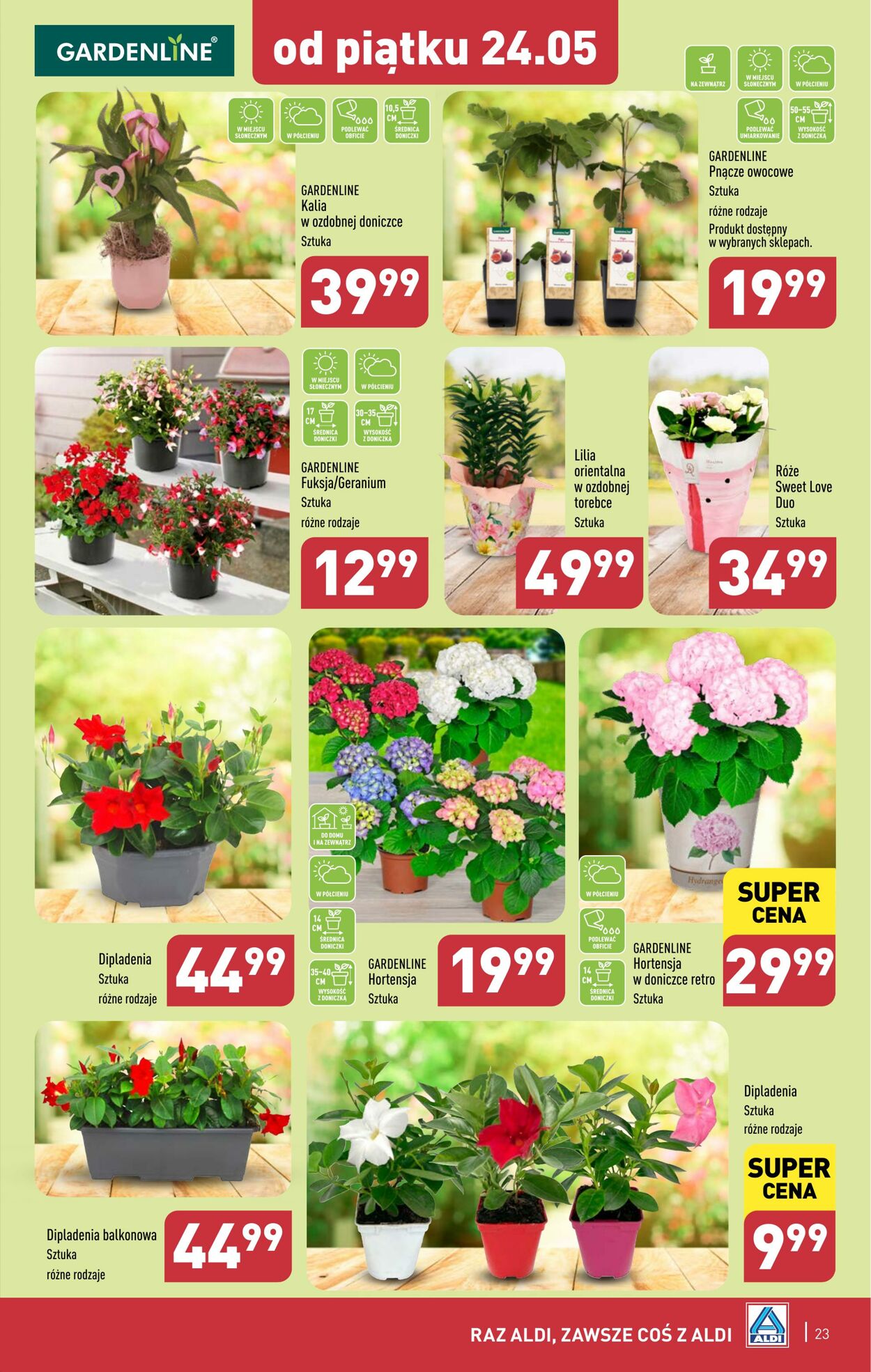 Gazetka Aldi 20.05.2024 - 25.05.2024