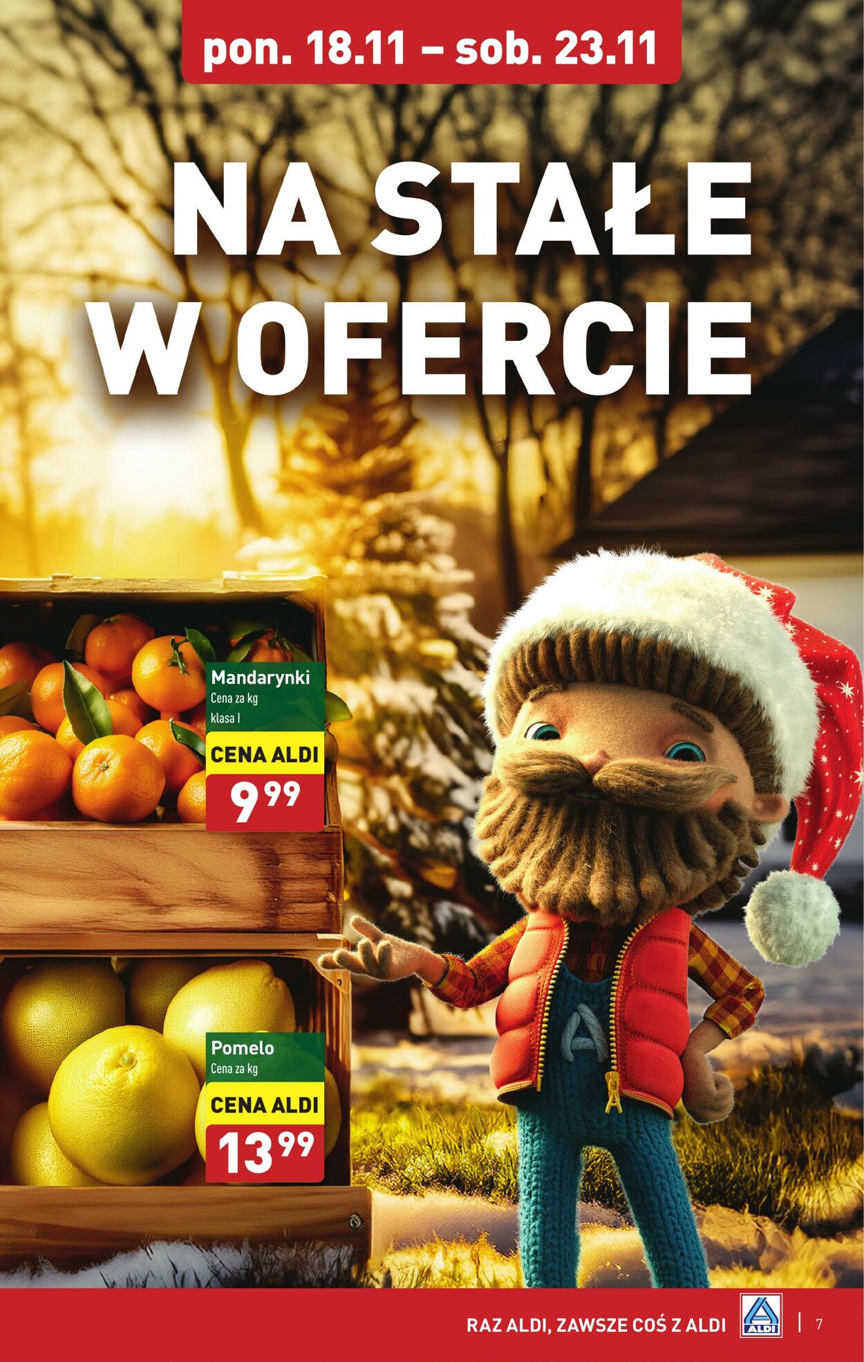 Gazetka Aldi 18.11.2024 - 23.11.2024