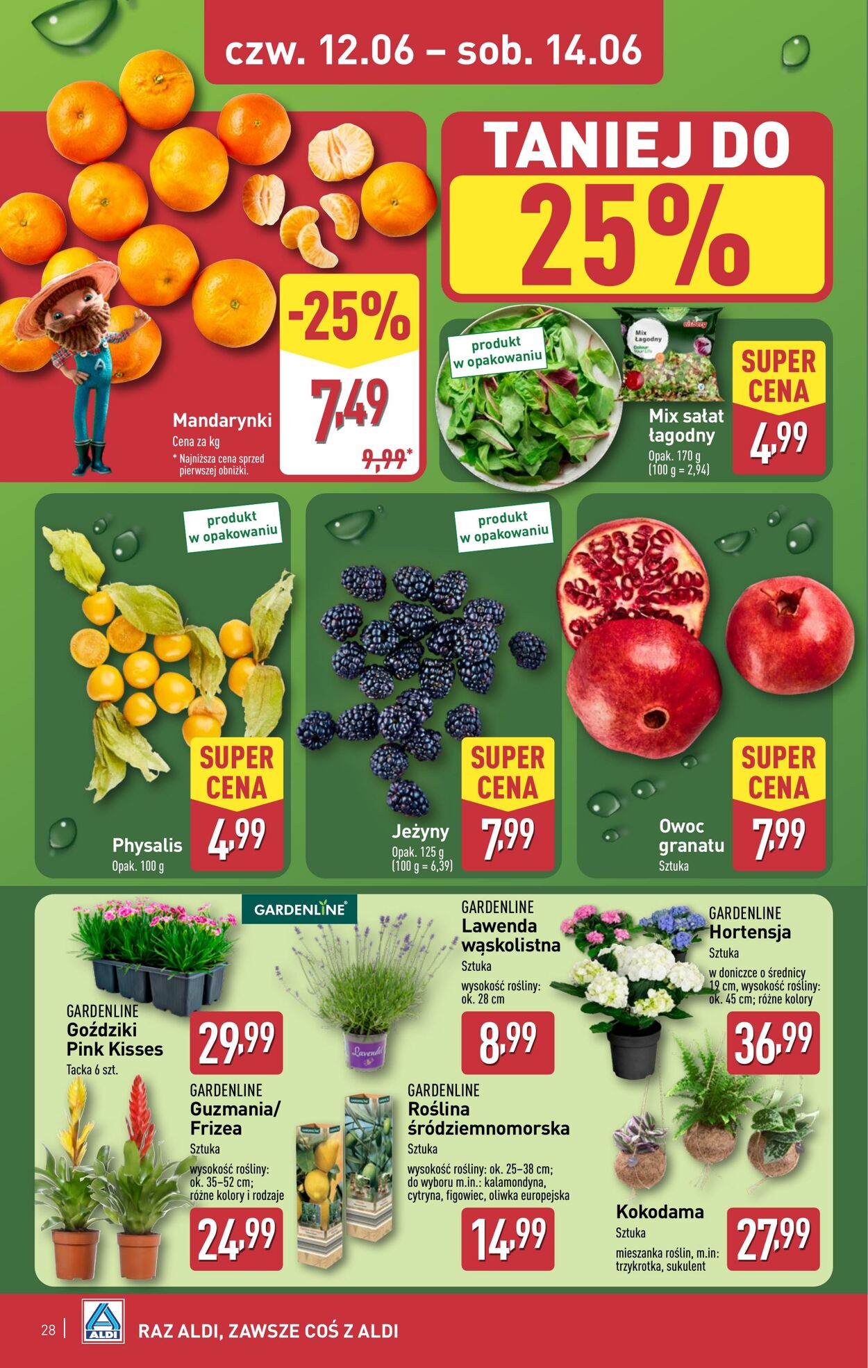 Gazetka Aldi 09.06.2025 - 14.06.2025