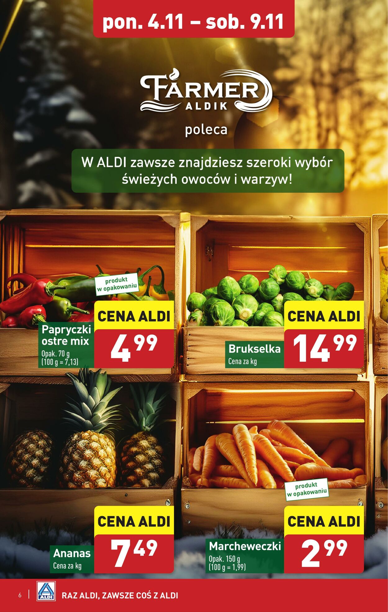 Gazetka Aldi 04.11.2024 - 09.11.2024