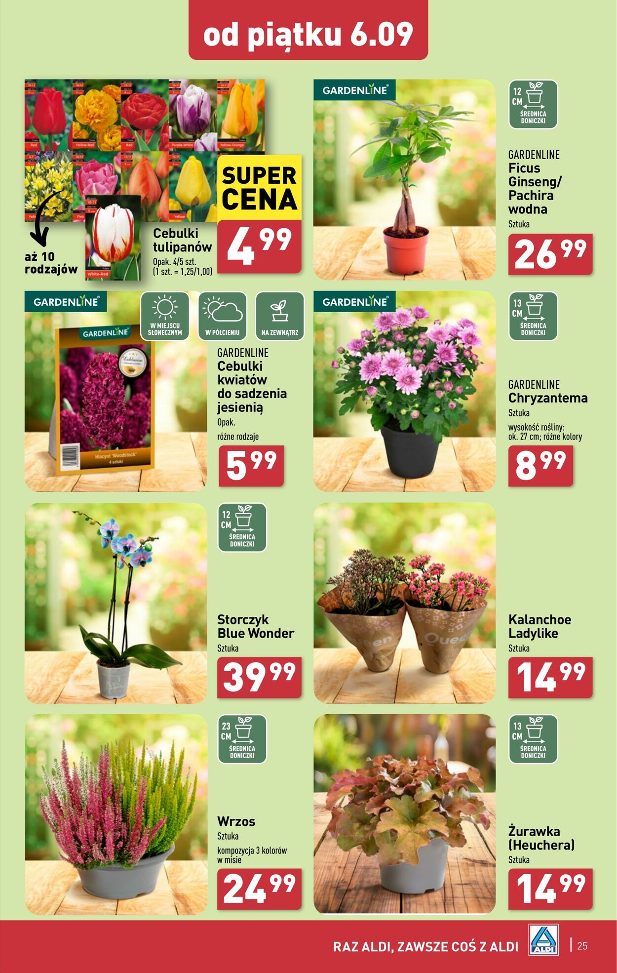 Gazetka Aldi 02.09.2024 - 07.09.2024