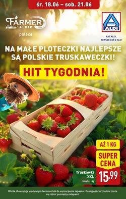 Gazetka Aldi 18.06.2025 - 21.06.2025