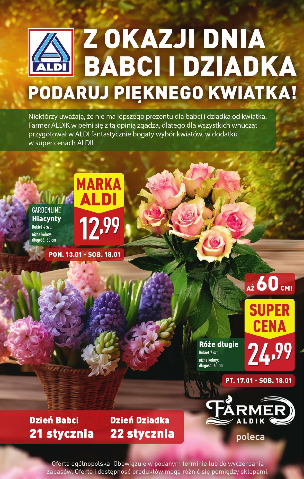 Gazetka Aldi 13.01.2025 - 18.01.2025