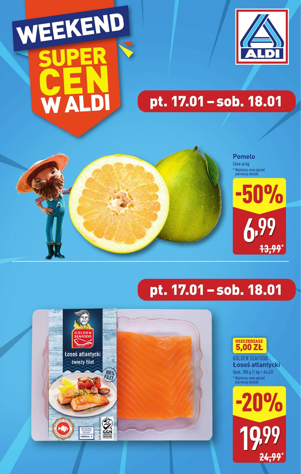 Gazetka Aldi 13.01.2025 - 18.01.2025