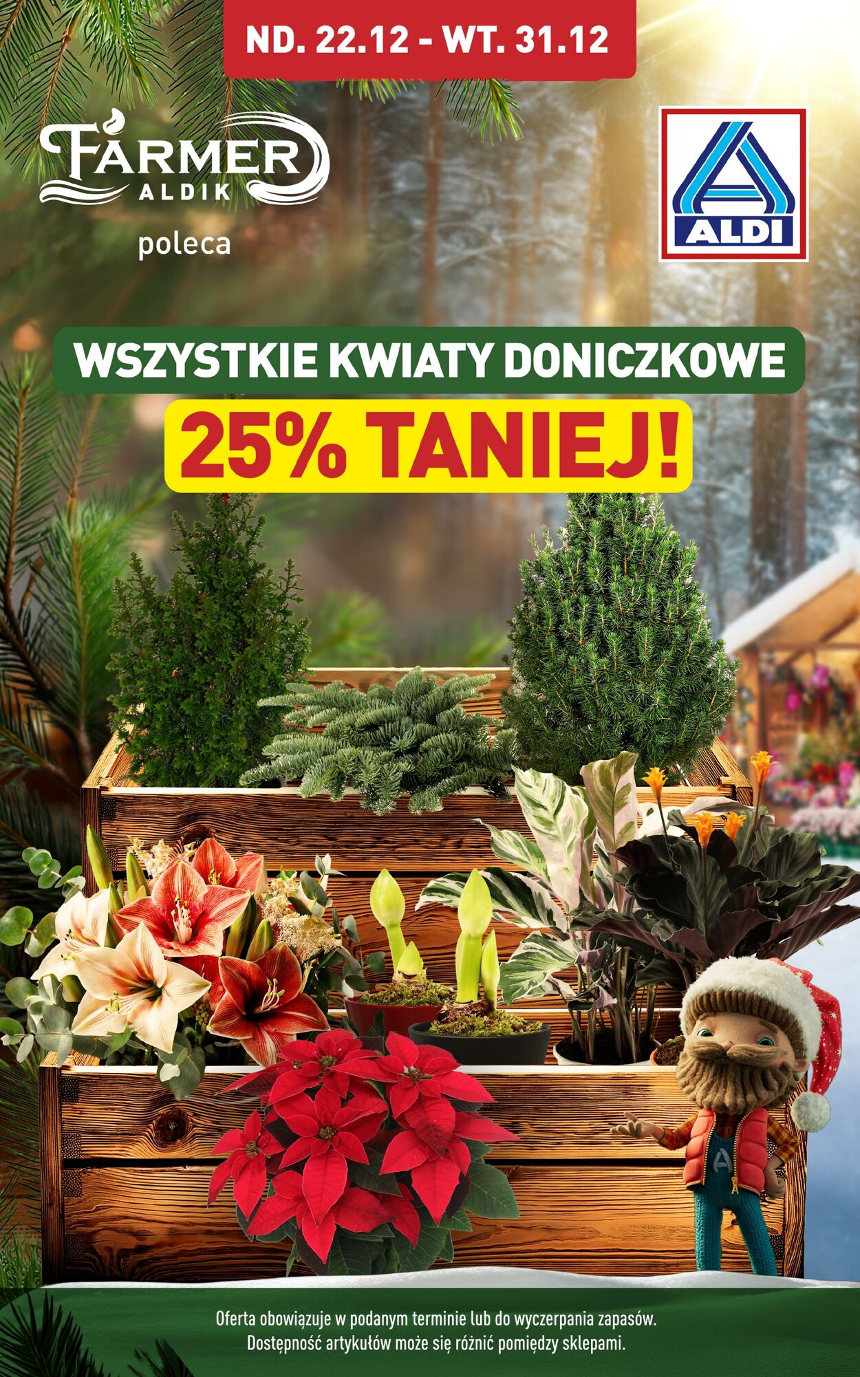 Gazetka Aldi 22.12.2024 - 31.12.2024