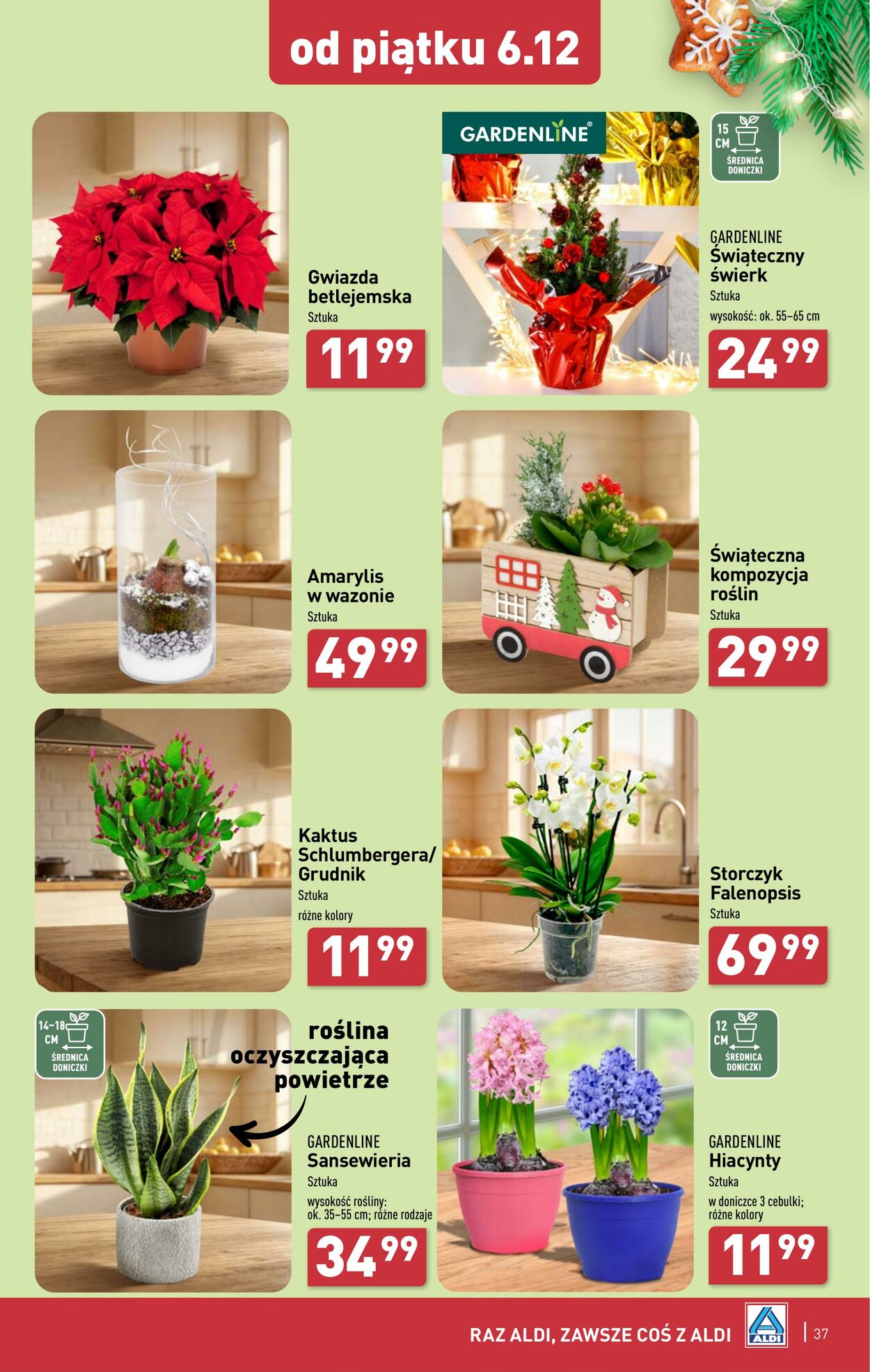 Gazetka Aldi 02.12.2024 - 07.12.2024