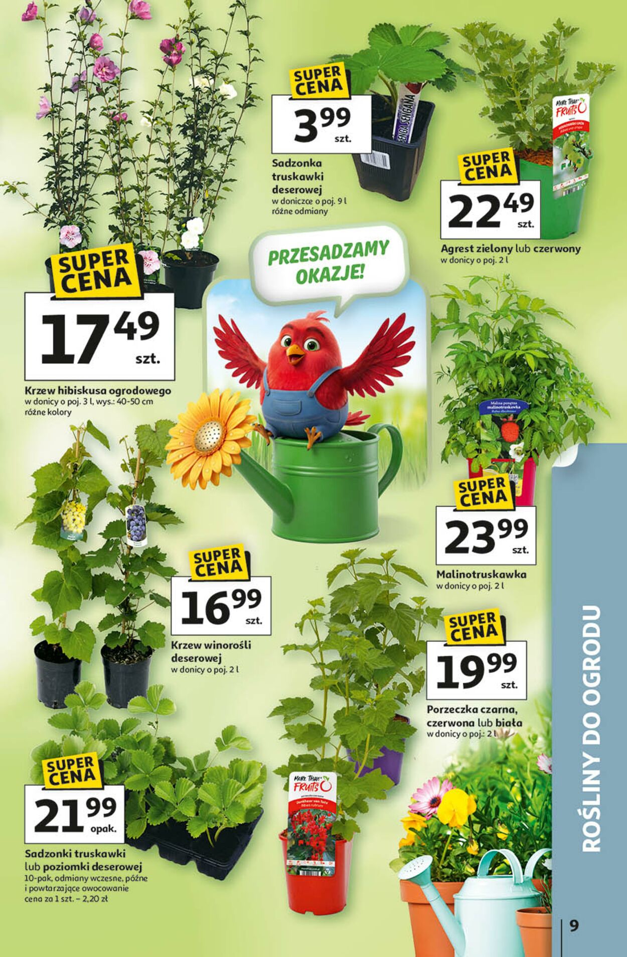 Gazetka Auchan 09.04.2026 - 15.04.2026