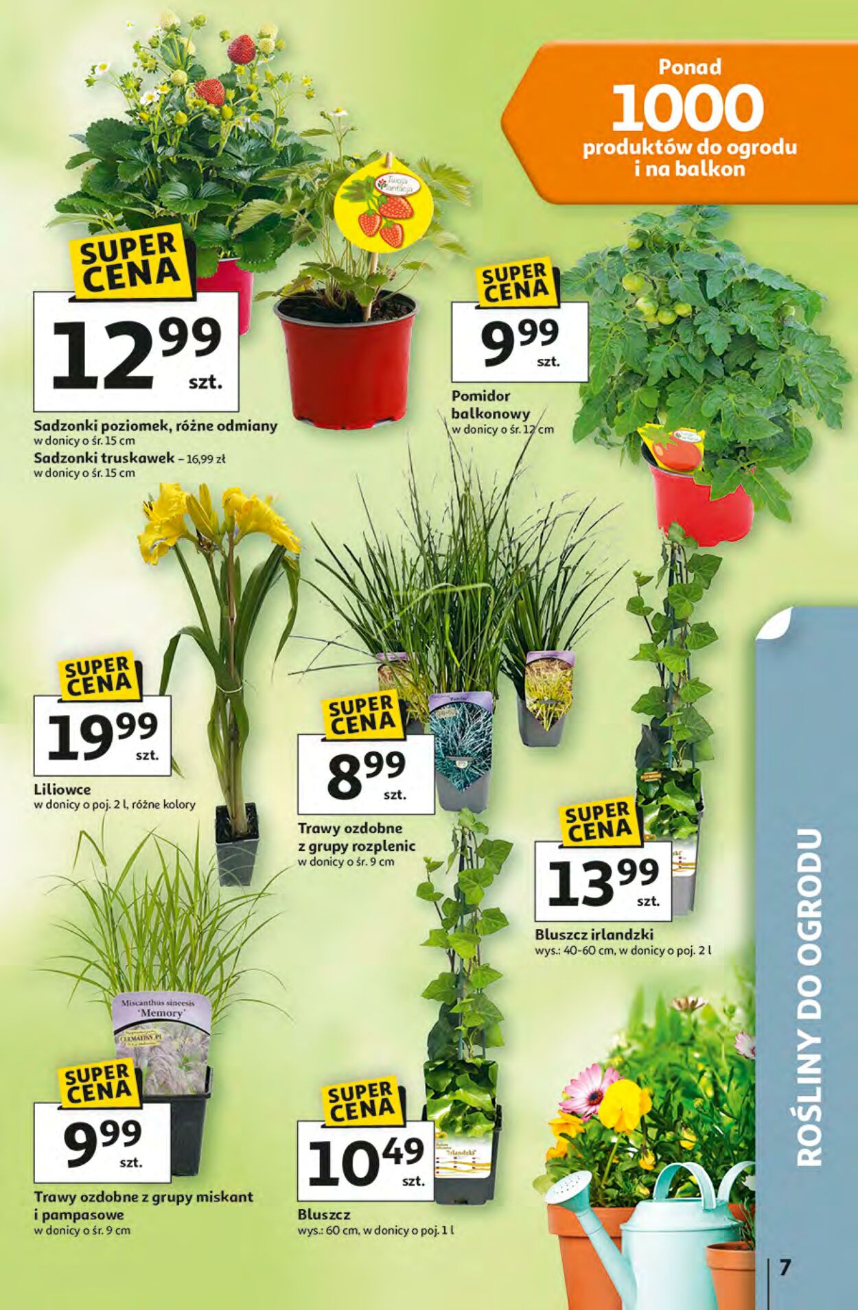 Gazetka Auchan 16.04.2026 - 22.04.2026