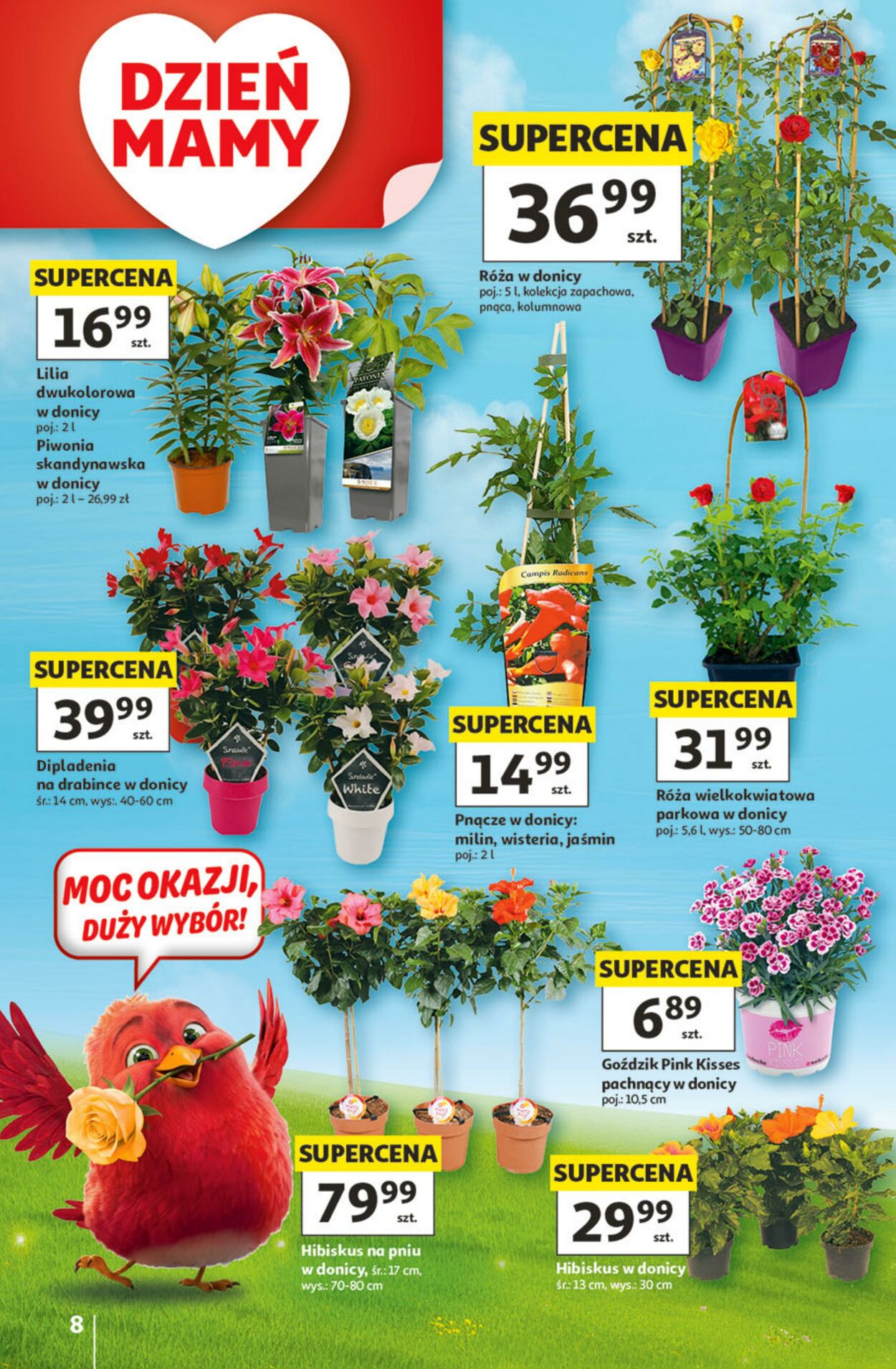 Gazetka Auchan 21.05.2026 - 27.05.2026