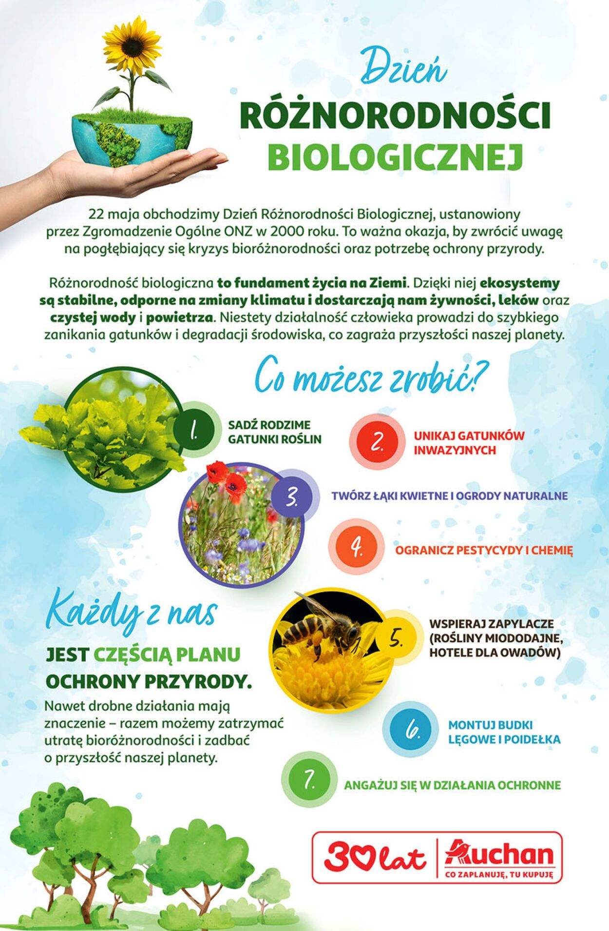 Gazetka Auchan 05.06.2026 - 10.06.2026