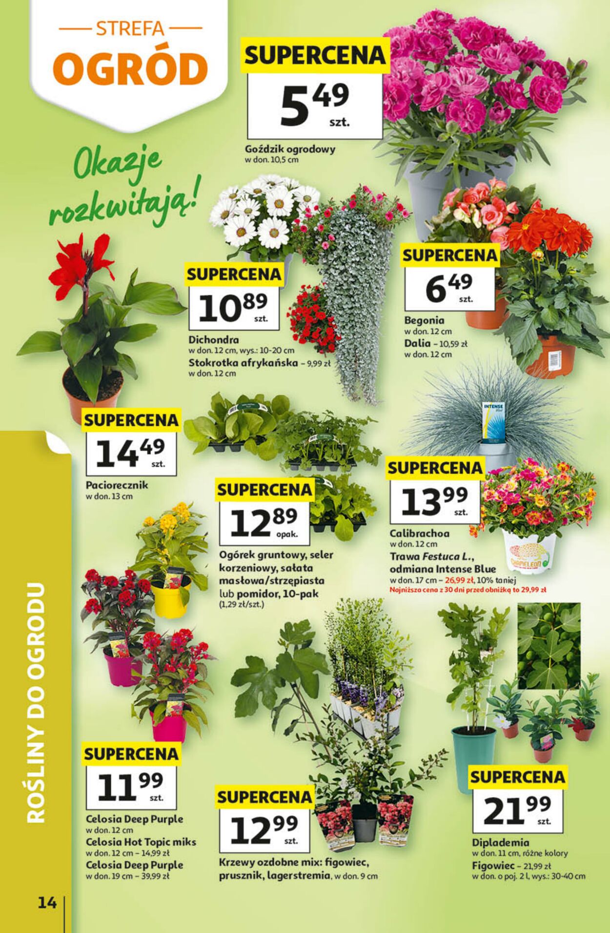 Gazetka Auchan 14.05.2026 - 20.05.2026