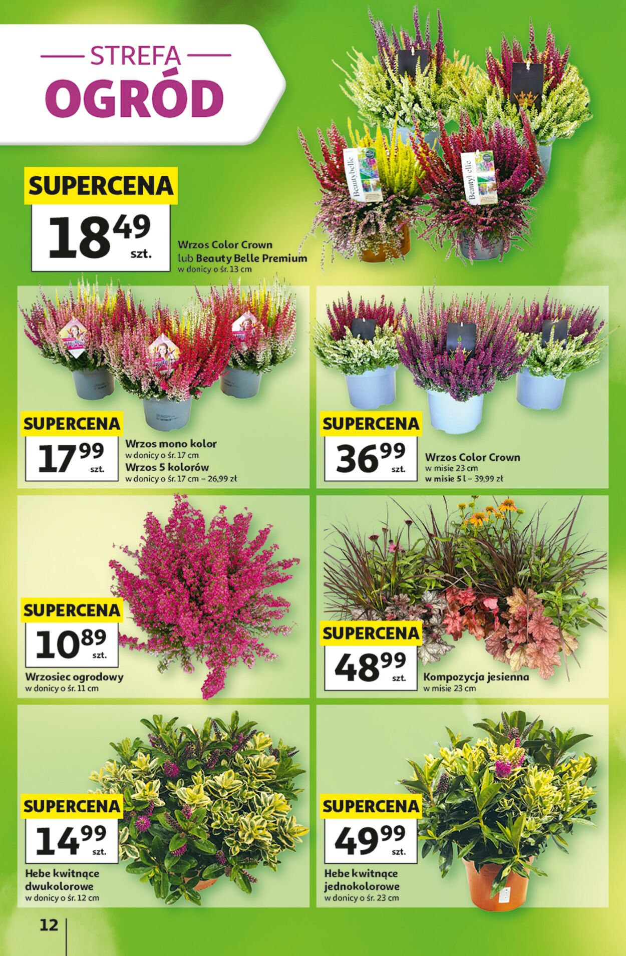 Gazetka Auchan 03.09.2026 - 09.09.2026