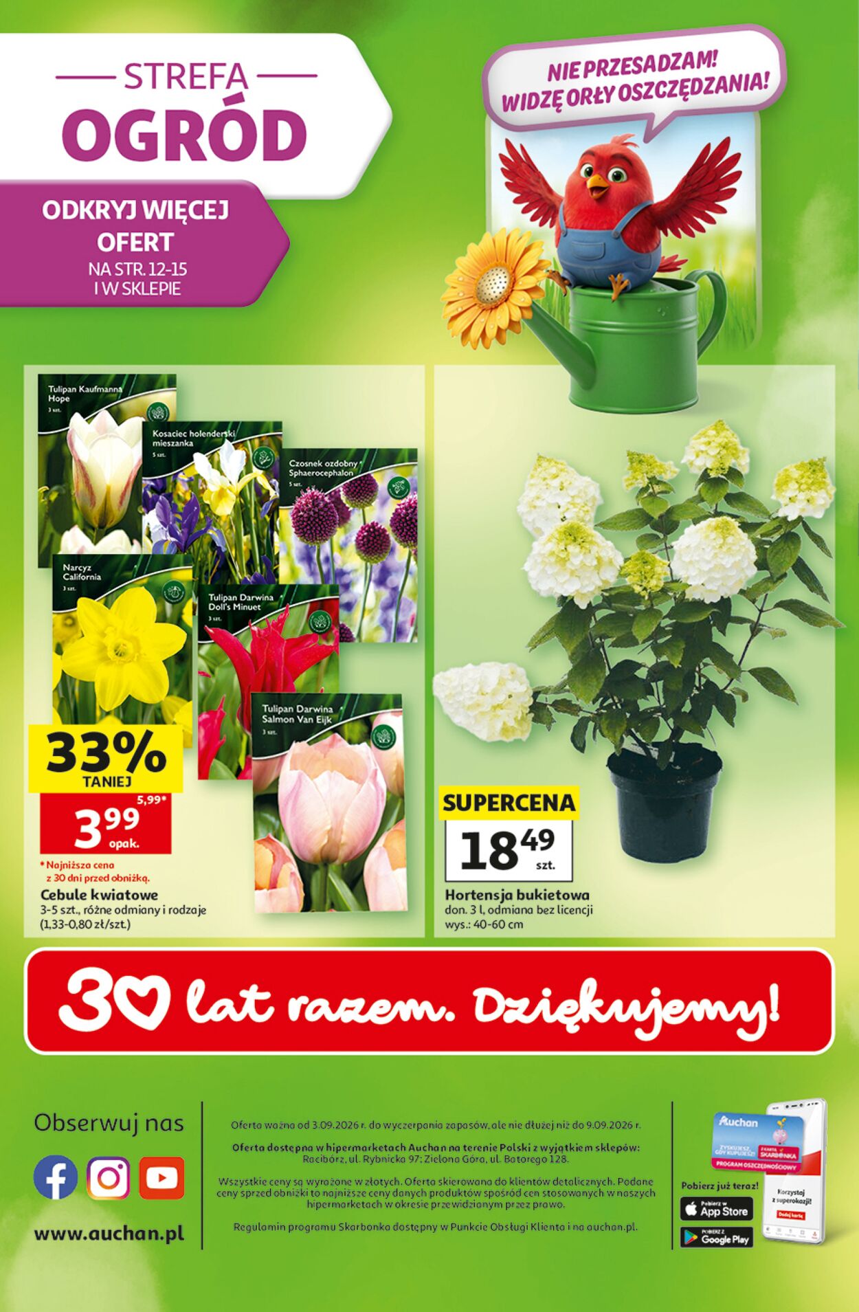 Gazetka Auchan 03.09.2026 - 09.09.2026
