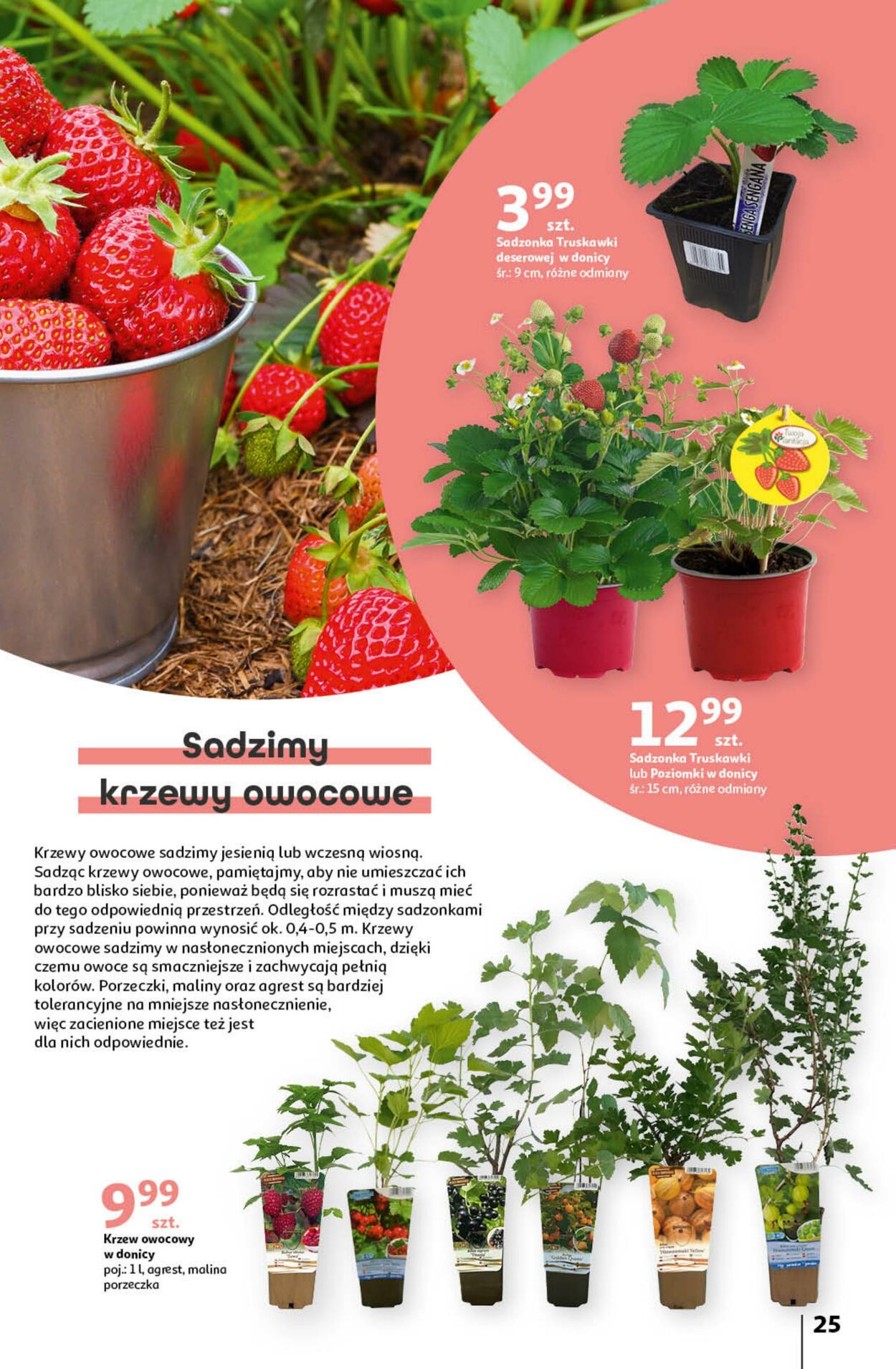 Gazetka Auchan 04.04.2024 - 15.05.2024