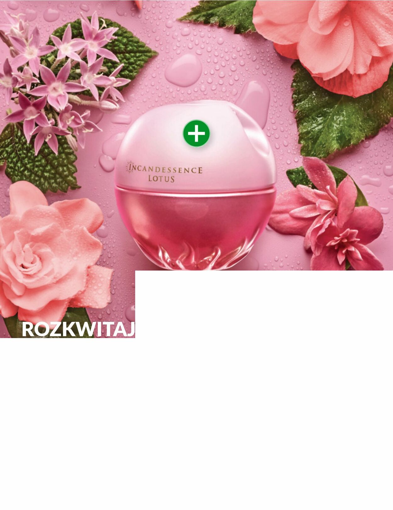 Gazetka Avon 01.10.2025 - 31.10.2025