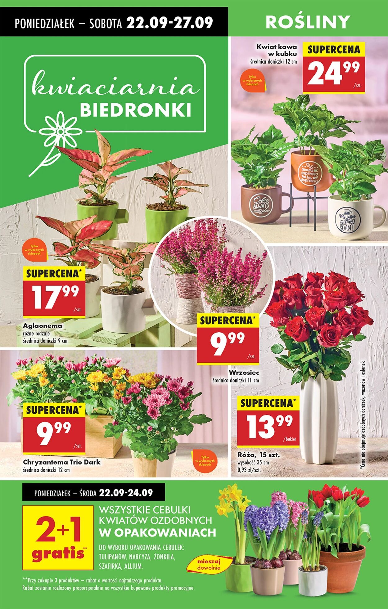 Gazetka Biedronka 22.09.2025 - 29.09.2025