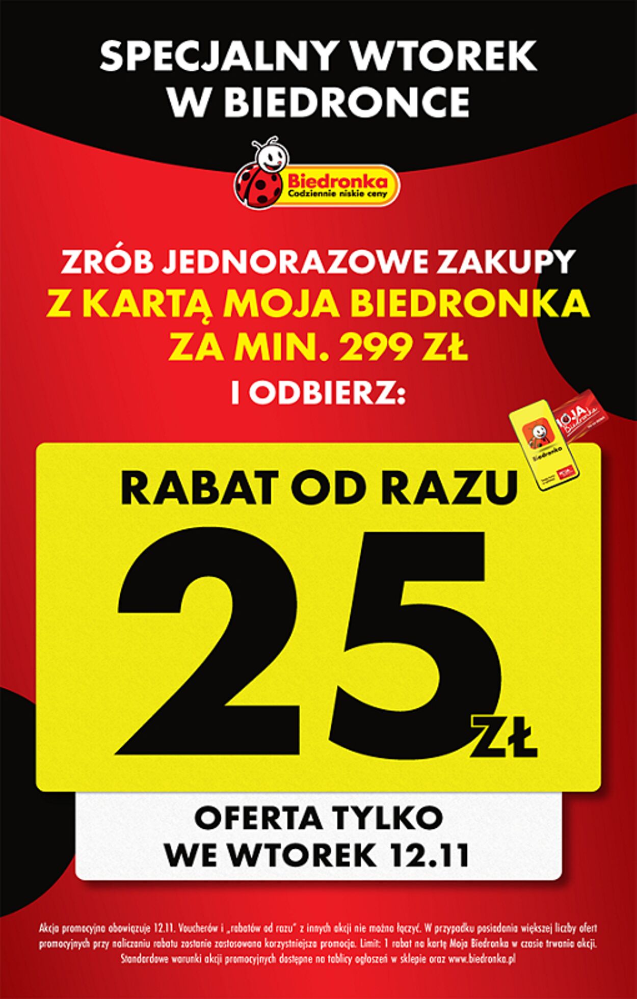 Gazetka Biedronka 12.11.2024 - 19.11.2024