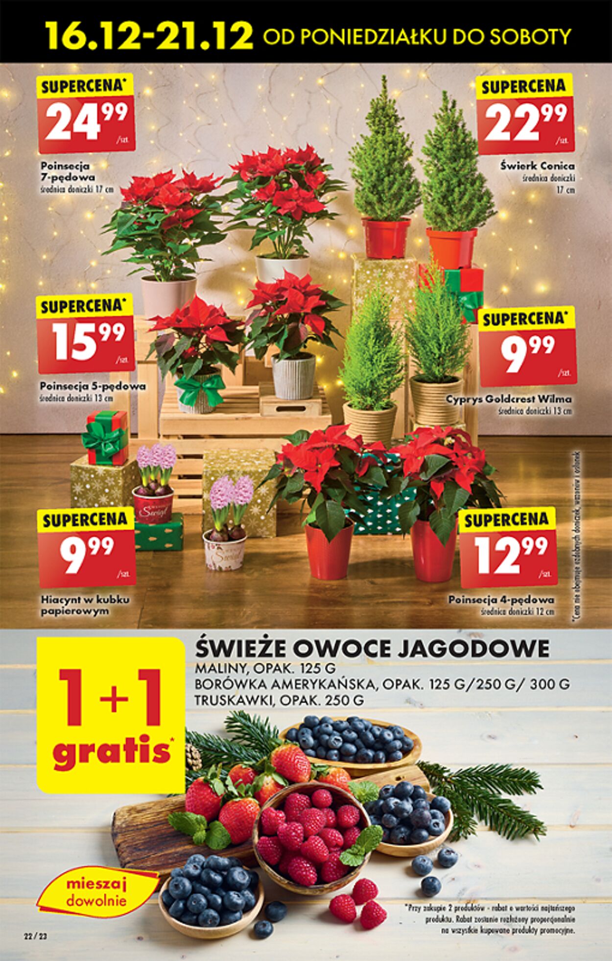 Gazetka Biedronka 16.12.2024 - 23.12.2024