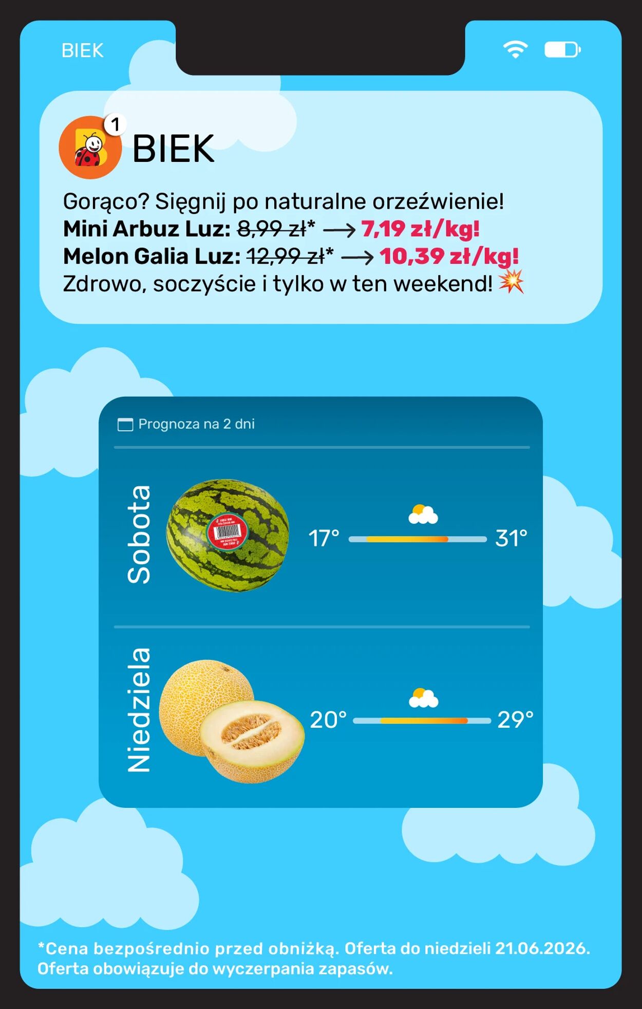 Gazetka Biedronka 19.06.2026 - 26.06.2026