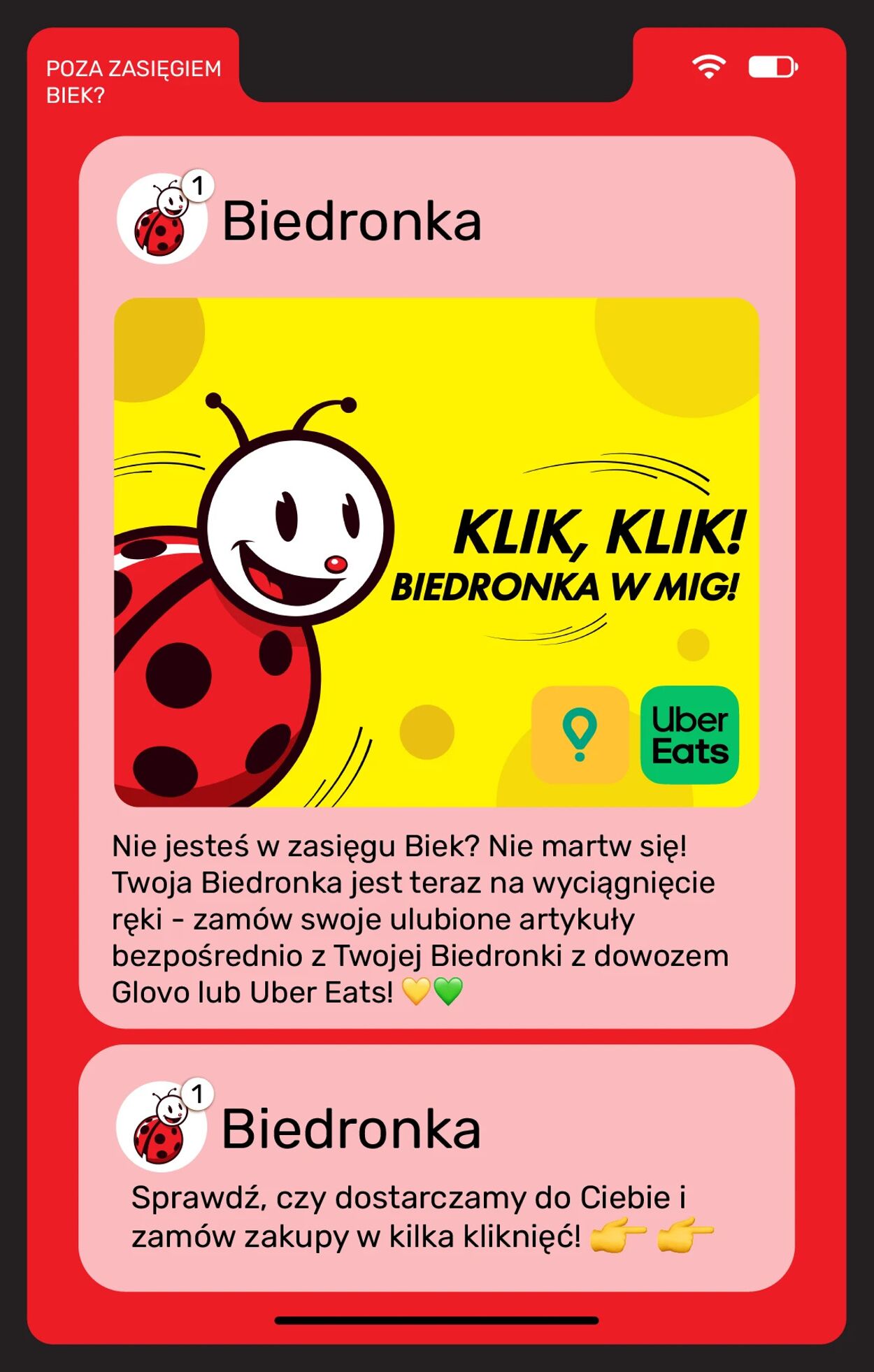 Gazetka Biedronka 19.06.2026 - 26.06.2026