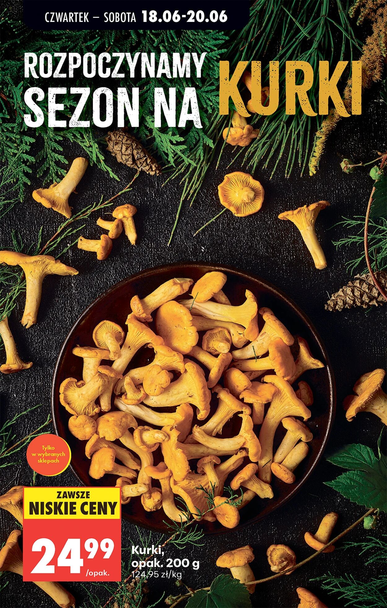 Gazetka Biedronka 18.06.2026 - 25.06.2026