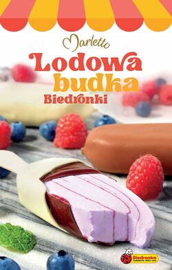 Gazetka Biedronka 21.07.2025 - 27.07.2025