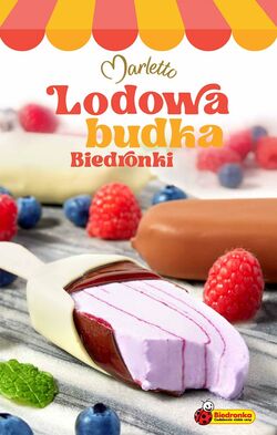 Gazetka Biedronka 16.06.2025 - 22.06.2025