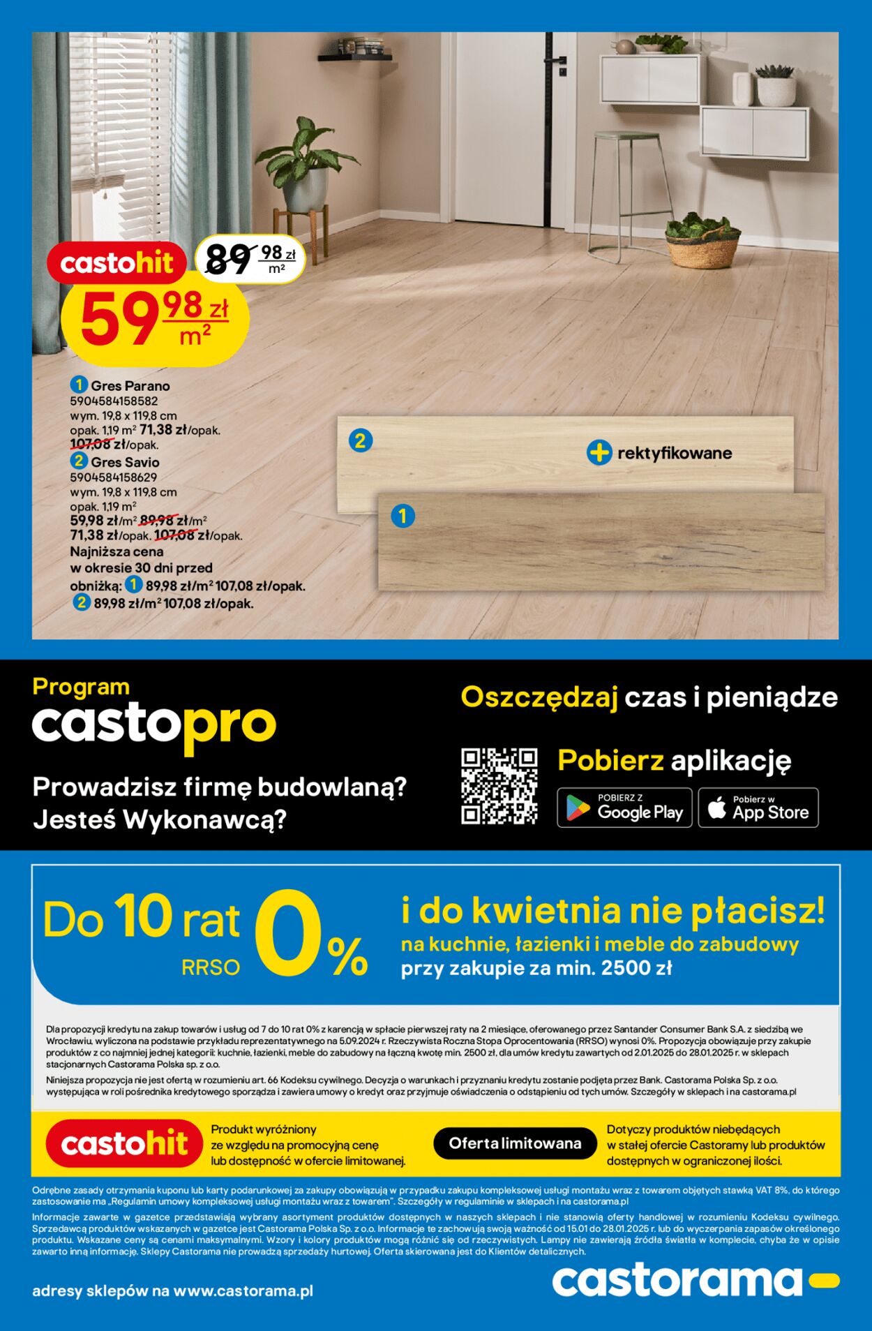 Gazetka Castorama 15.01.2025 - 28.01.2025