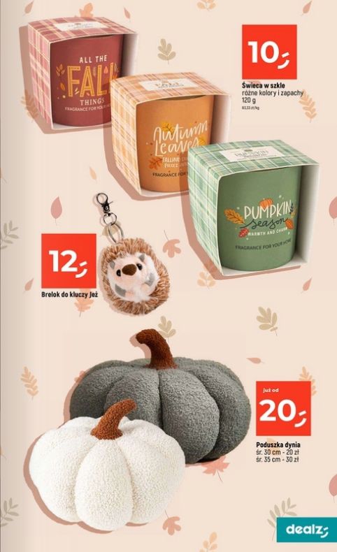 Gazetka Dealz 21.08.2025 - 27.08.2025