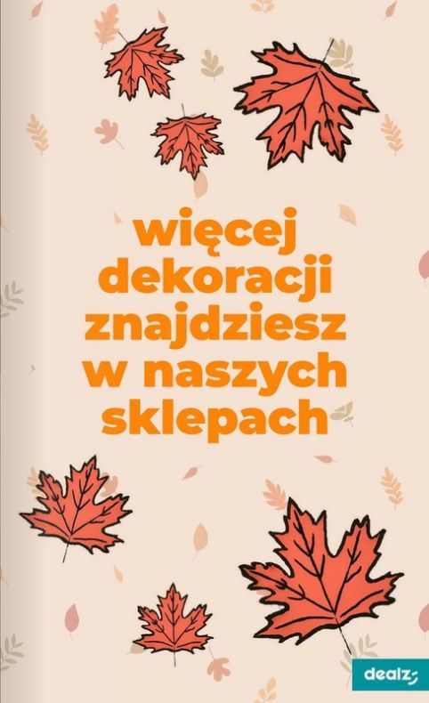 Gazetka Dealz 21.08.2025 - 27.08.2025