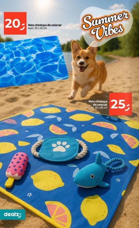 Gazetka Dealz 05.06.2025 - 11.06.2025