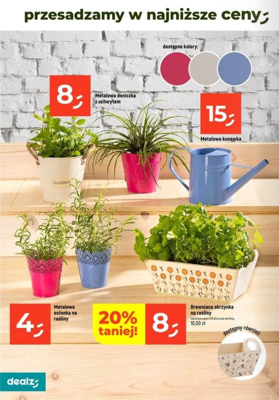 Gazetka Dealz 13.02.2025 - 23.08.2025