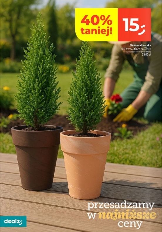 Gazetka Dealz 13.02.2025 - 23.08.2025