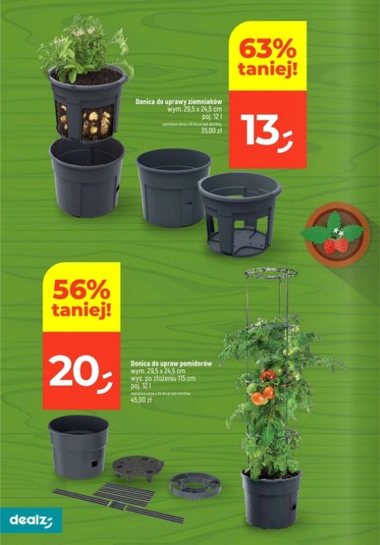 Gazetka Dealz 13.02.2025 - 23.08.2025