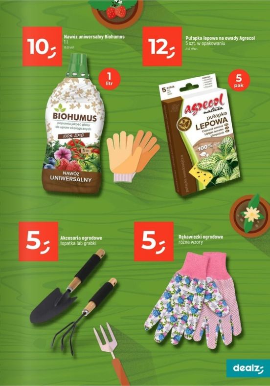 Gazetka Dealz 13.02.2025 - 23.08.2025