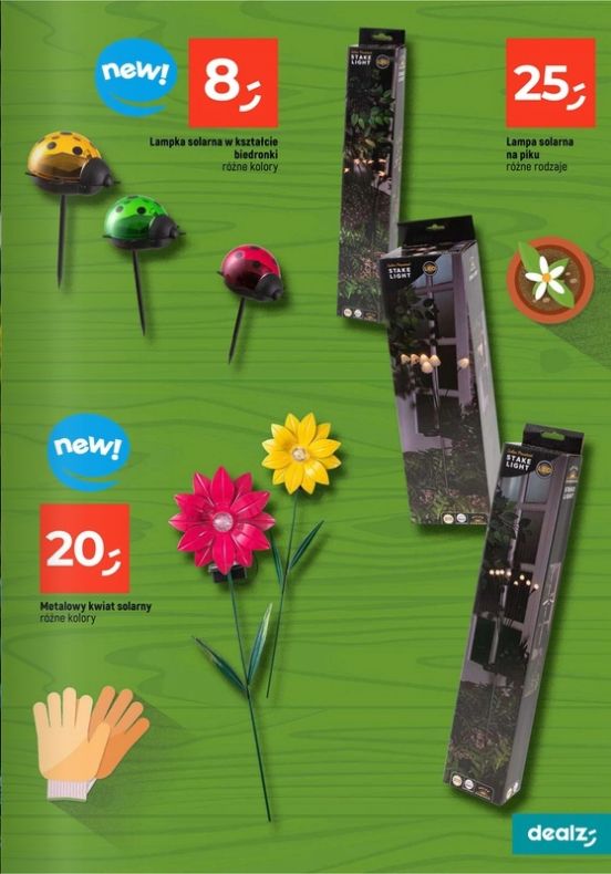 Gazetka Dealz 13.02.2025 - 23.08.2025