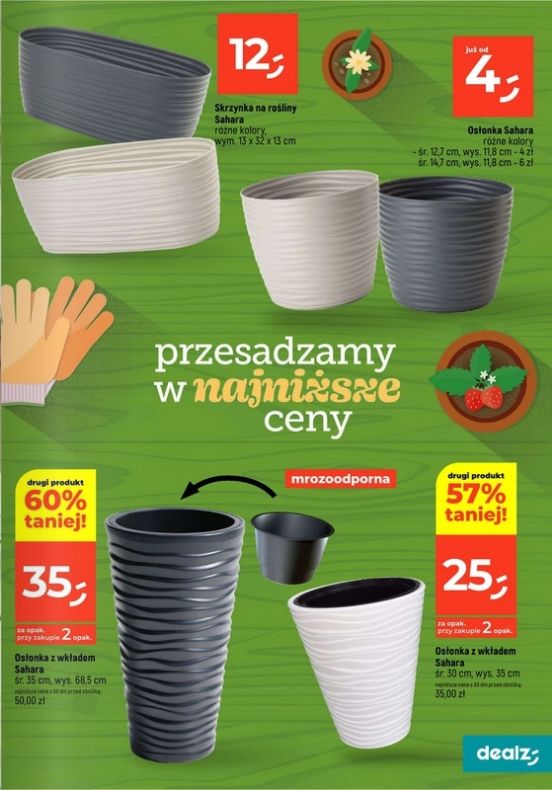 Gazetka Dealz 13.02.2025 - 23.08.2025