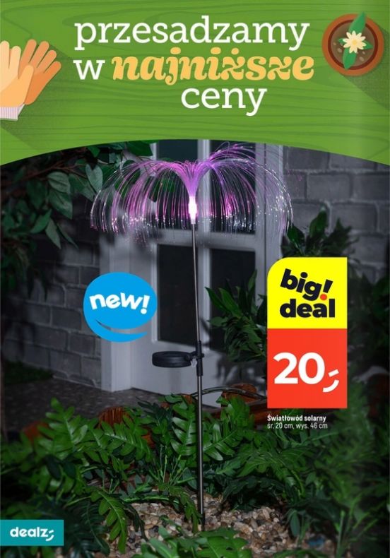 Gazetka Dealz 13.02.2025 - 23.08.2025